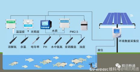 控制光照对水质的具体操作方法：控制光照是改善和维持水质的关键方法 龙鱼百科 第4张