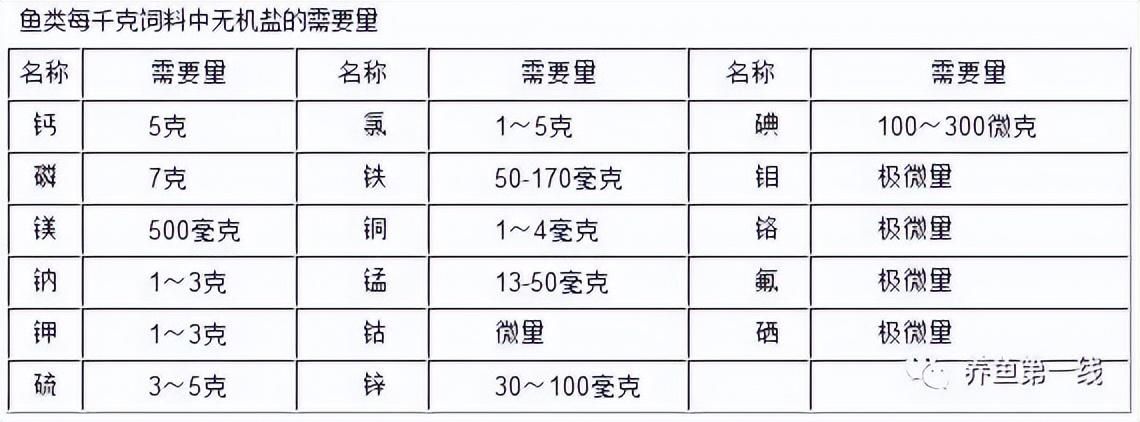 龙鱼的特征：为什么说龙鱼是一种极具观赏价值的水族箱宠物？ 水族问答 第2张