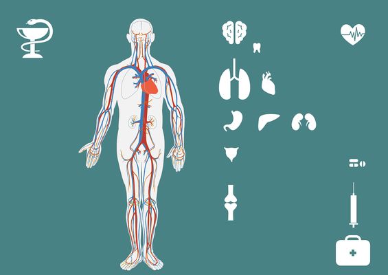 申古三间鱼常见疾病的早期症状：如何判断申古三间鱼是否患肠炎 龙鱼百科 第1张