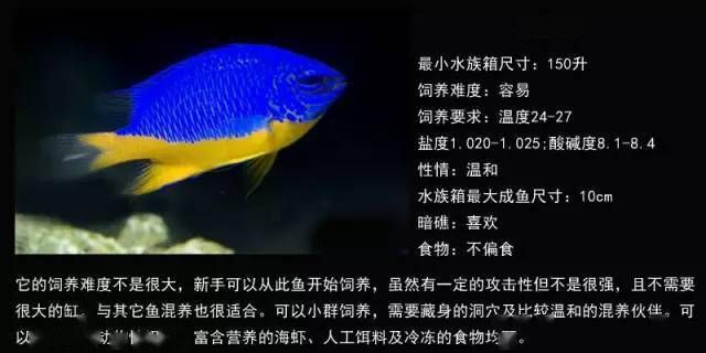 龙鱼的养殖技术与管理论文 水族问答 第1张