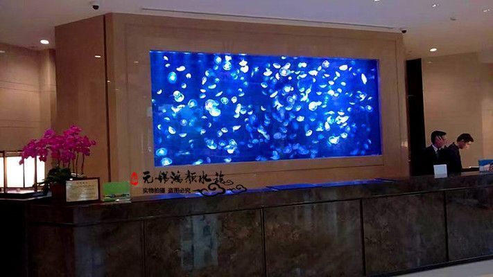 嘉兴龙鱼vs嘉兴水族批发市场vs嘉兴水族馆vs嘉兴鱼缸批发市场vs祥龙鱼场：嘉兴水族批发市场、嘉兴鱼缸批发市场、祥龙鱼场鱼类品种介绍