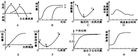 龙鱼灯摆放位置：龙鱼灯摆放在什么位置最合适？ 水族问答 第2张