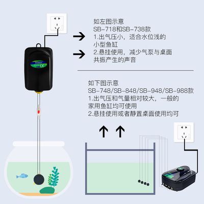 龙鱼适合用什么灯vs祥龙鱼场：祥龙鱼场龙鱼照明对色彩的影响 vs祥龙鱼场 第5张