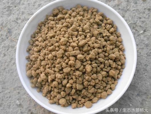 龙鱼灯什么牌子最好最安全：-龙鱼灯安全性与品牌、质量和使用方式有关 水族问答 第1张