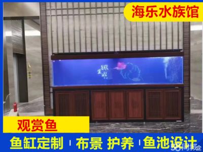 东莞龙鱼vs东莞水族批发市场vs东莞水族馆vs东莞鱼缸批发市场vs祥龙鱼场：东莞水族批发市场 祥龙鱼场各市分站 第5张