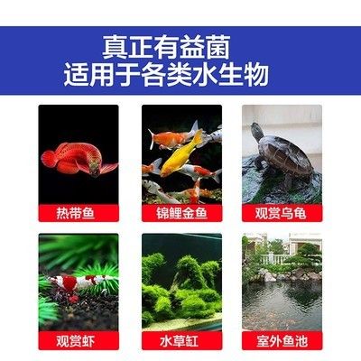 硝化细菌产品的选择指南：如何选择硝化细菌产品 龙鱼百科 第4张