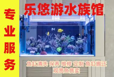 合肥龙鱼vs合肥水族批发市场vs合肥水族馆vs合肥鱼缸批发市场vs祥龙鱼场：合肥水族市场以及祥龙鱼场 祥龙鱼场各市分站 第4张