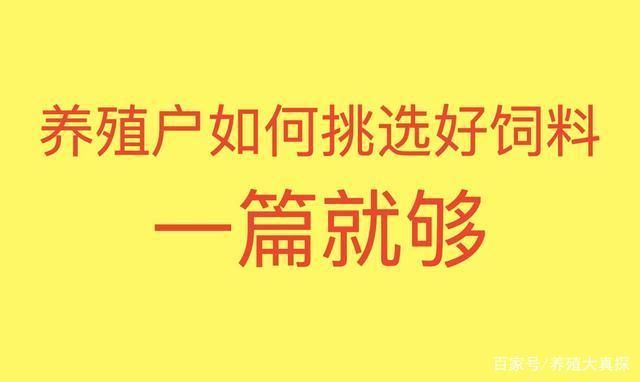 如何选择合适的增色饲料：观赏鱼增色饲料品牌推荐,自制增色饲料的配方比例 龙鱼百科 第2张