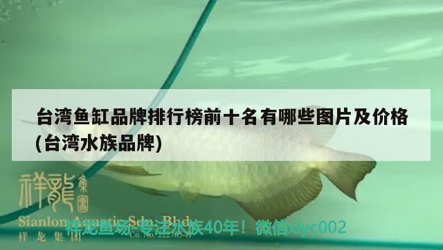 台湾龙鱼vs台湾水族批发市场vs台湾水族馆vs台湾鱼缸批发市场vs祥龙鱼场：台湾水族批发市场 祥龙鱼场各市分站 第3张