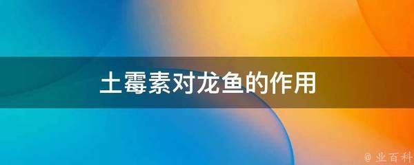 龙鱼可以用土霉素吗vs祥龙鱼场：土霉素对龙鱼的影响 vs祥龙鱼场