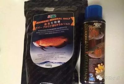 银龙鱼维生素补充方案：银龙鱼专用维生素品牌推荐，自制鱼食维生素配方 龙鱼百科 第2张