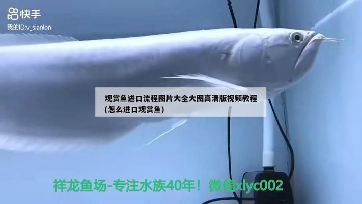 广元龙鱼vs广元水族批发市场vs广元水族馆vs广元鱼缸批发市场vs祥龙鱼场：广元水族批发市场 祥龙鱼场各市分站 第1张