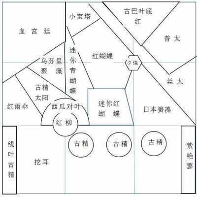 铜川龙鱼vs铜川水族批发市场vs铜川水族馆vs铜川鱼缸批发市场vs祥龙鱼场：铜川水族馆、祥龙鱼场鱼缸批发市场价格对比 祥龙鱼场各市分站 第2张