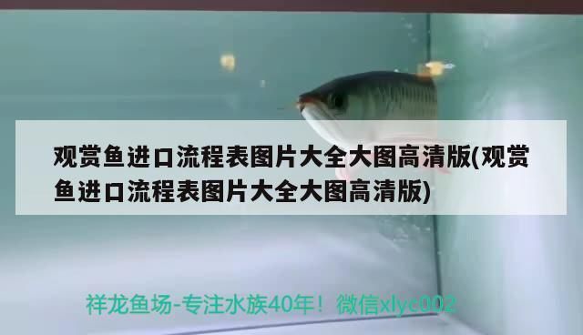 永州龙鱼vs永州水族批发市场vs永州水族馆vs永州鱼缸批发市场vs祥龙鱼场：关于永州地区龙鱼交易市场的一些建议 祥龙鱼场各市分站 第1张