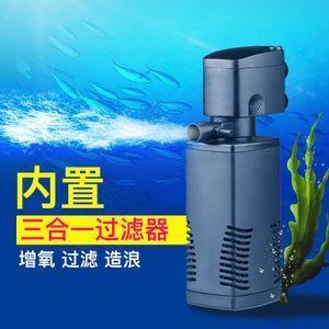 龙鱼掉色：关于龙鱼掉色的问题 水族问答 第1张