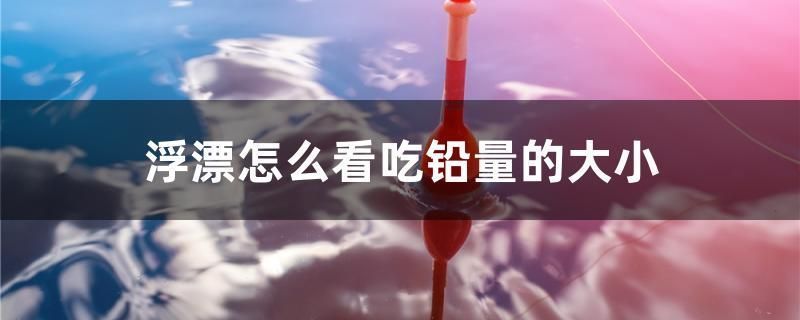 吐鲁番龙鱼vs吐鲁番水族批发市场vs吐鲁番水族馆vs吐鲁番鱼缸批发市场vs祥龙鱼场：吐鲁番地区的龙鱼交易市场 祥龙鱼场各市分站 第5张