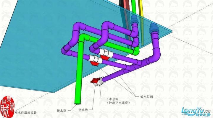 龙鱼缸双水位设计：双水位鱼缸设计的美学价值