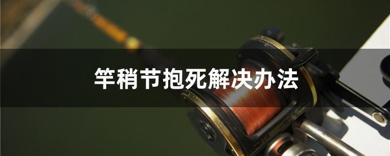 红魔王银版鱼养殖技术：红魔王银版鱼养殖技术要点