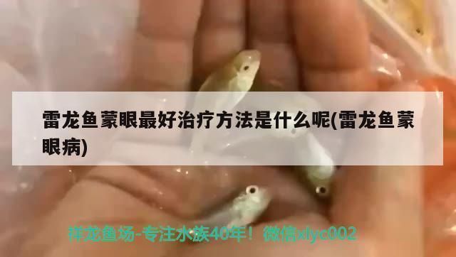 龙鱼蒙眼青霉素用量多少vs祥龙鱼场：如何预防龙鱼蒙眼病 vs祥龙鱼场 第5张