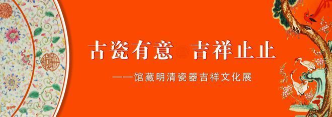 龙运吉罗鱼：吉罗鱼市场价格 吉罗鱼批发 第3张