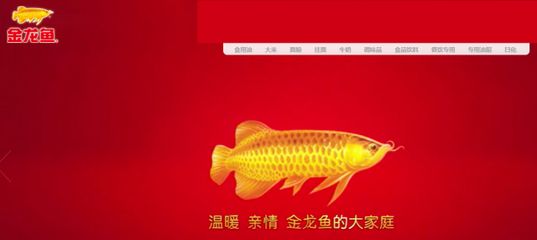 金龙鱼竞争优势：金龙鱼在竞争激烈的食品市场中保持领先地位保持领先地位 龙鱼百科 第5张