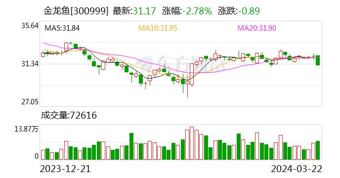 金龙鱼价格表2023最新版：10公分金龙鱼价格表 龙鱼百科 第1张