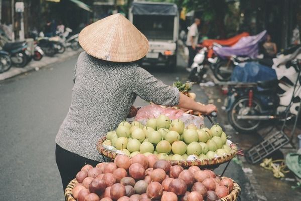 龙鱼水温多少度合适冬眠vs祥龙鱼场：祥龙鱼场的龙鱼品种如何判断龙鱼是否进入冬眠 vs祥龙鱼场 第5张