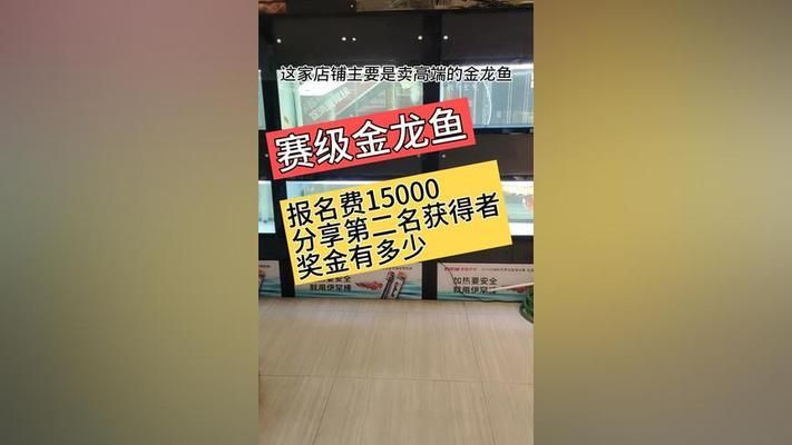 金龙鱼比赛评判标准是什么：金龙鱼比赛的评判标准 龙鱼百科 第4张