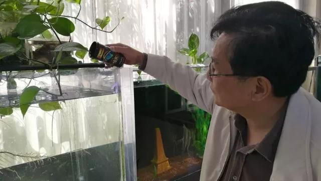 龙鱼缸ph值怎么调节最好：如何通过调整水族箱的ph值来优化水族箱内的环境？ 水族问答 第1张