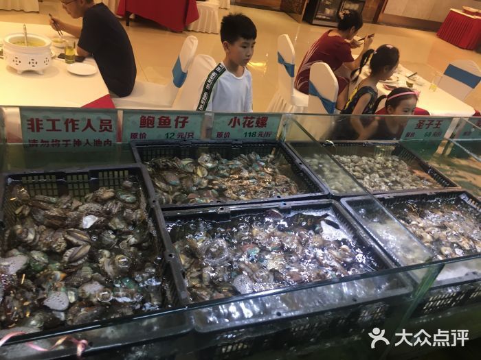 成都金龙鱼港双南店电话号码：成都金龙鱼港双南店 龙鱼百科 第4张