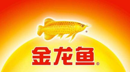 金龙鱼下的品牌有哪些名字：益海嘉里金龙鱼品牌介绍 龙鱼百科 第4张