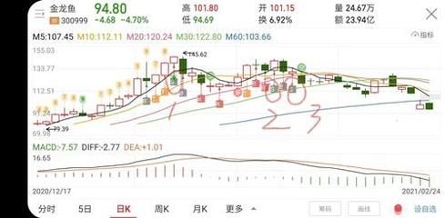 金龙鱼百度贴吧最新消息：金龙鱼百度贴吧最新消息汇总 龙鱼百科 第5张