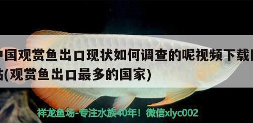 龙鱼配虎鱼怎么样养活：如何预防龙鱼攻击虎鱼，虎鱼对水质要求详解