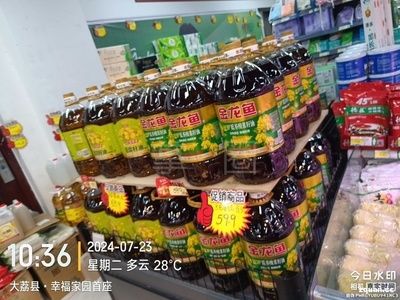 诚聘金龙鱼业务员2名：金龙鱼业务员招聘 龙鱼百科 第3张