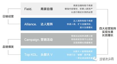 金龙鱼营销矩阵有哪些：金龙鱼的营销矩阵 龙鱼百科 第4张