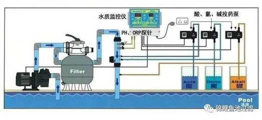 锦鲤水温监控设备选择：选择锦鲤水温监控设备时需要考虑几个关键因素