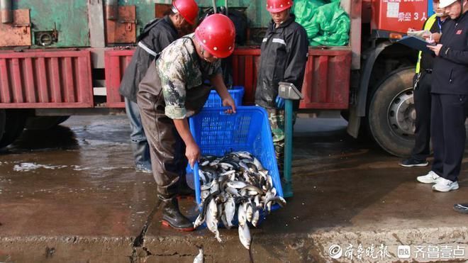 龙鱼缸水流量循环倍数：关于龙鱼缸水流量循环的疑问 水族问答 第1张