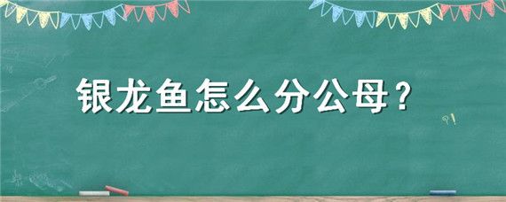 银龙鱼性别特征辨别技巧：如何挑选健康银龙鱼,银龙鱼基因检测操作流程 龙鱼百科 第6张