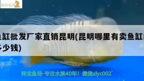 龙鱼怎么查证书vs祥龙鱼场：祥龙鱼场信誉评价鉴别龙鱼真伪技巧 vs祥龙鱼场 第5张