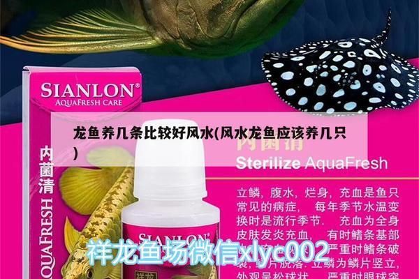 龙鱼换水用纯净水可以吗：龙鱼换水使用纯净水可以吗 水族问答 第2张