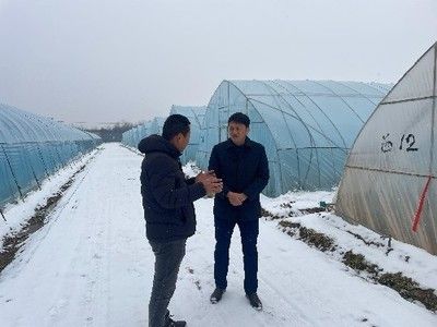 龙鱼混养虎鱼：混养龙鱼和虎鱼的注意事项 水族问答 第1张