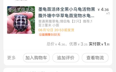 龙鱼活多少年死亡率高一点：龙鱼的寿命通常有多长，如何判断一只龙鱼是否已经达到了其自然寿命 水族问答 第1张