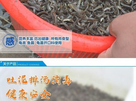 龙鱼喂养颗粒饲料怎么喂的vs祥龙鱼场：龙鱼喂养颗粒饲料的具体方法和注意事项