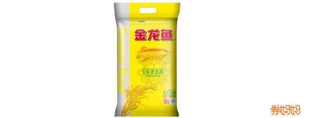 金龙鱼粳米价格：金龙鱼粳米价格2025年2月8日至43.9元 龙鱼百科 第5张