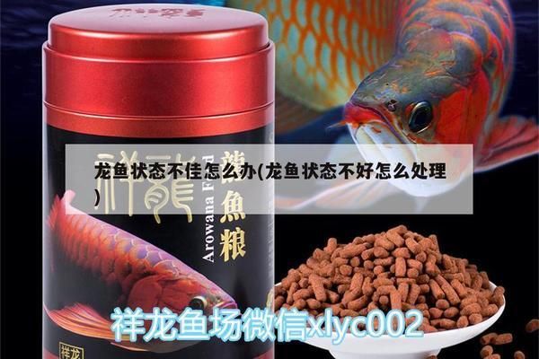 龙鱼状态不好怎么处理好：如何处理龙鱼状态不佳的问题 龙鱼百科 第1张