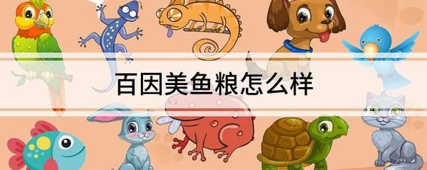 龙鱼寄语：《龙鱼寄语》是一本由作者创作的小说 水族问答 第1张