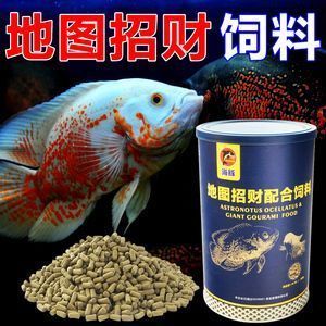 龙鱼只吃饲料vs祥龙鱼场：龙鱼只吃饲料与祥龙水族馆的水族生态存在显著区别 vs祥龙鱼场 第3张