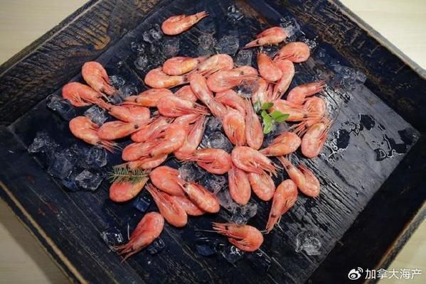 龙鱼经常撞缸是怎么回事：如何避免龙鱼撞缸？ 水族问答 第2张