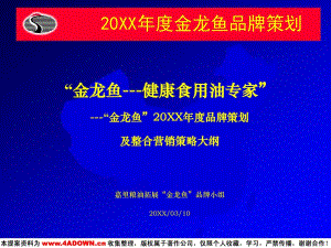 金龙鱼营销策划方案模板怎么写：金龙鱼营销策划方案模板 龙鱼百科 第2张