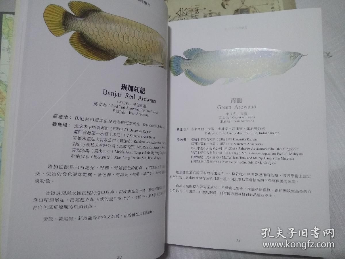 龙鱼开口了应该就没问题了吧英文 龙鱼百科 第2张